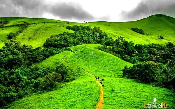 kodachadrikodachadri-trekkodachadri-trekkingkodachadri-peak-hidlumane-fallskodachadri-jeep-ride-kodachadri-waterfalls › Rent urbania