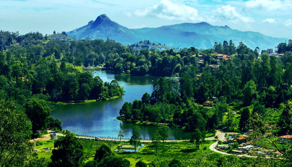 kodaikanal 1 › Rent urbania