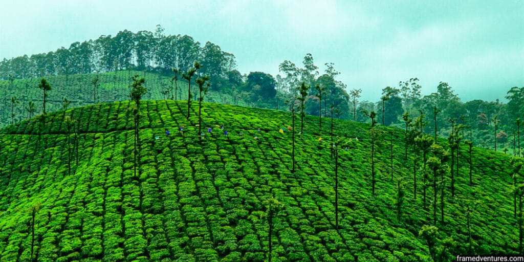 valparai-view-point-1024x512 › Rent urbania